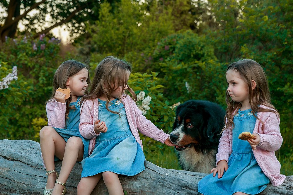 Photograph by Алёна Цёма