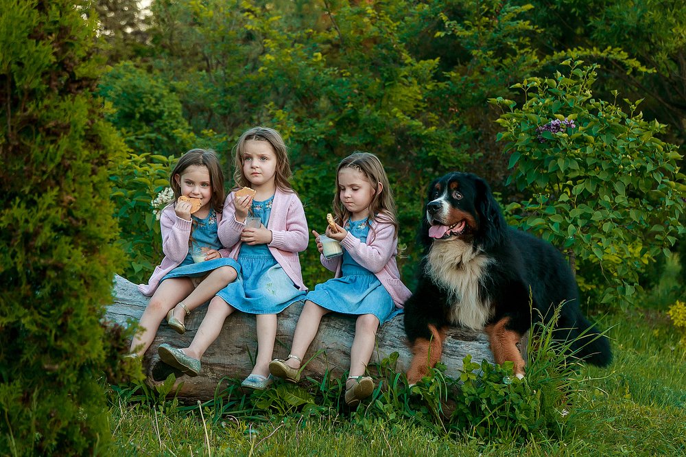 Photograph by Алёна Цёма