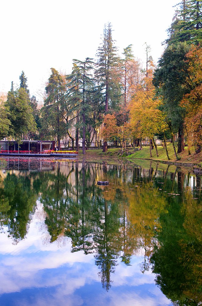 Photograph by Costa Pedro