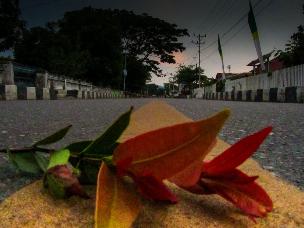 Photograph by Albert Maramis