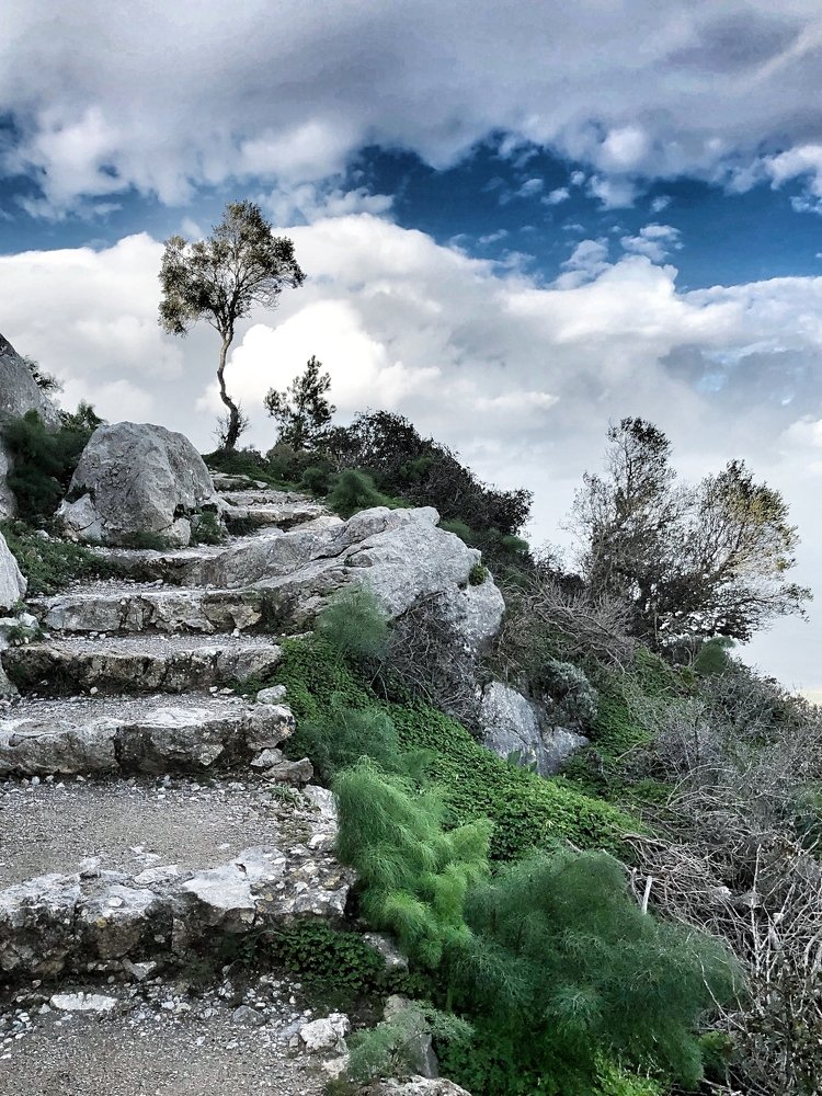 Photograph by Лилия Куюн