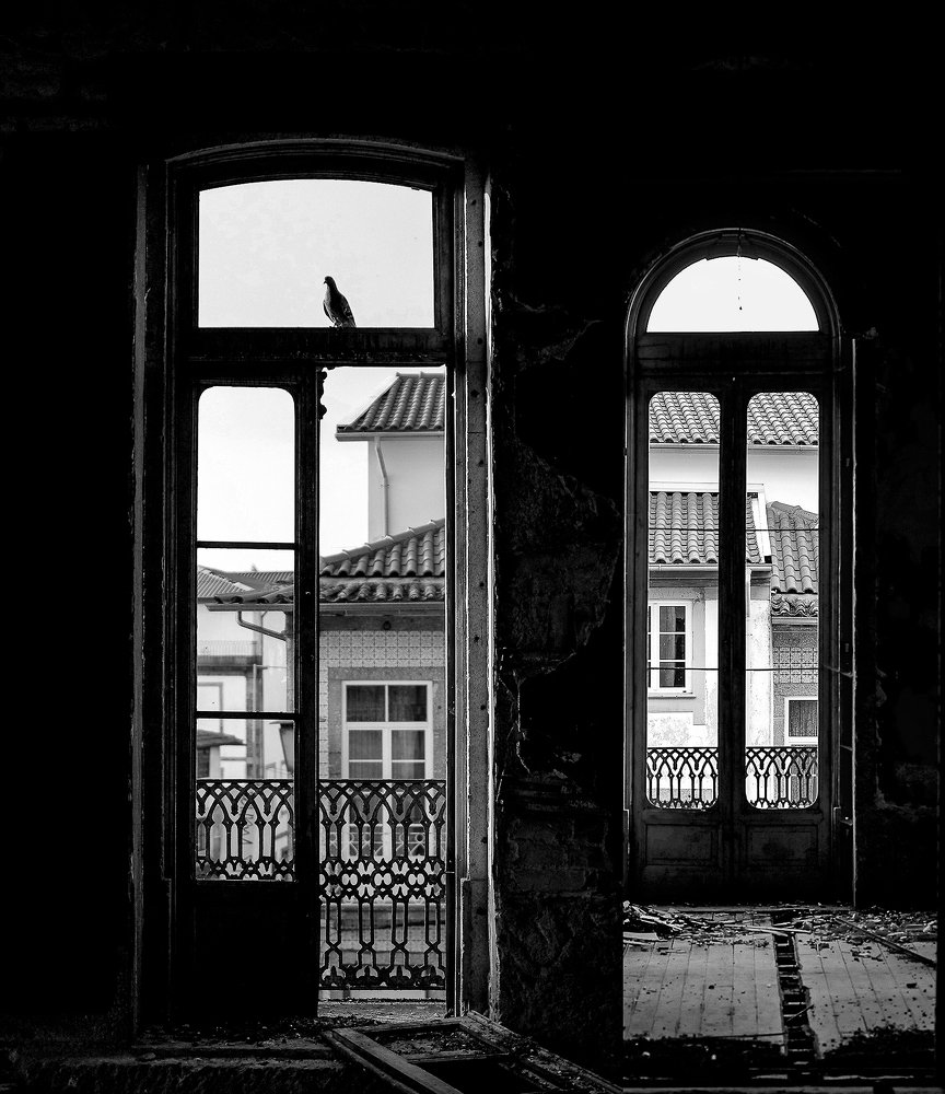 Photograph by Costa Pedro