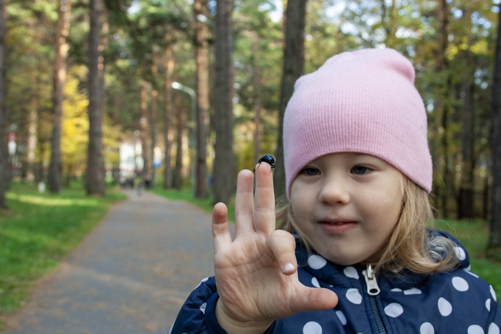 Первое знакомство