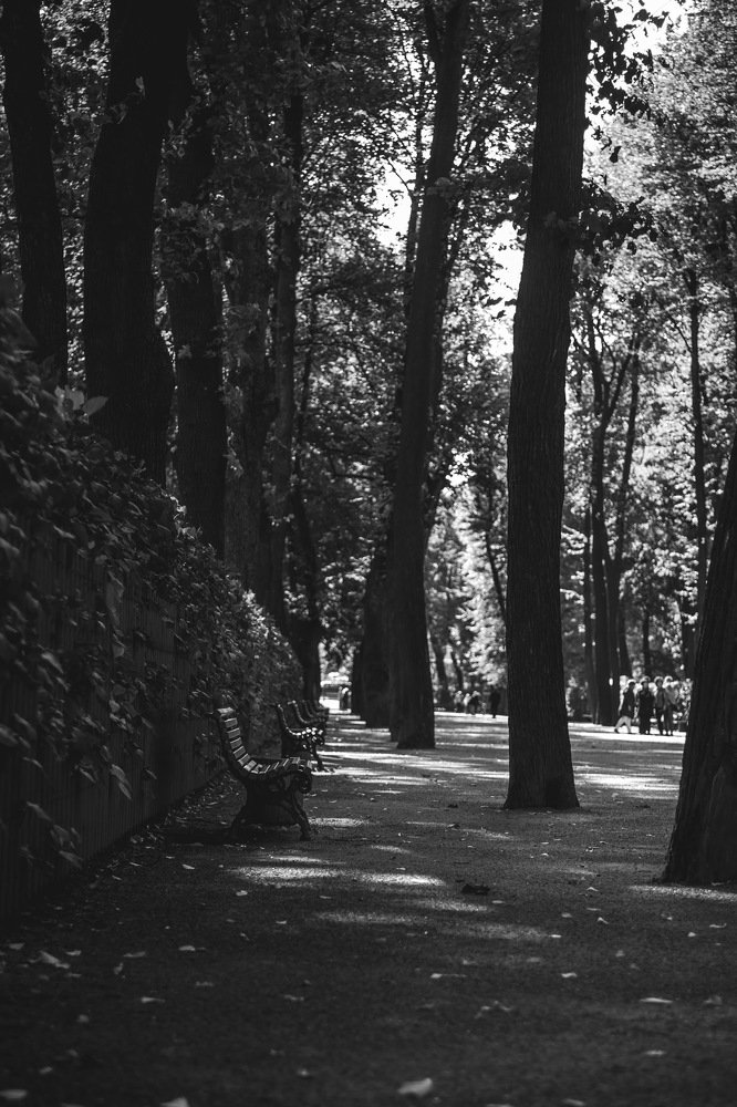 Photograph by Маша Коваленко