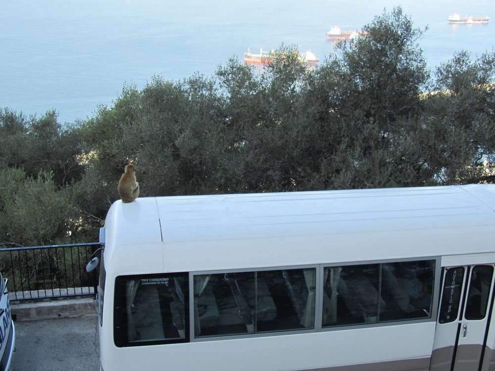 Photograph by juri kutukov