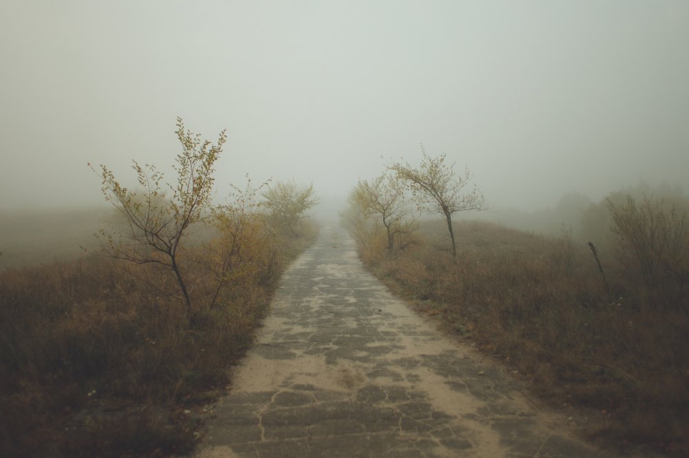 Фотография автора Екатерина Корчилова