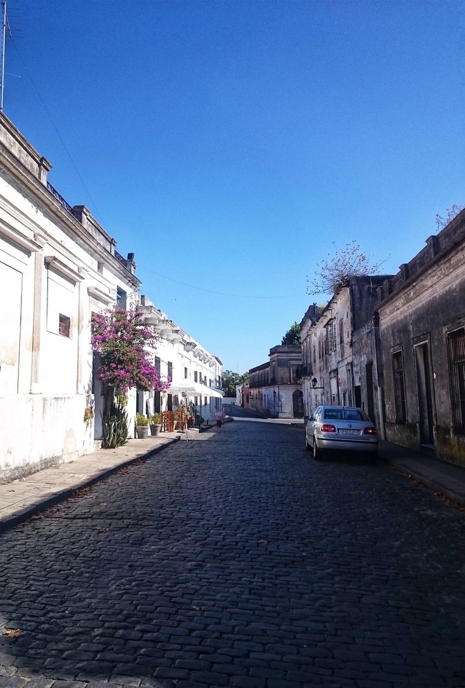 Photo #4040813