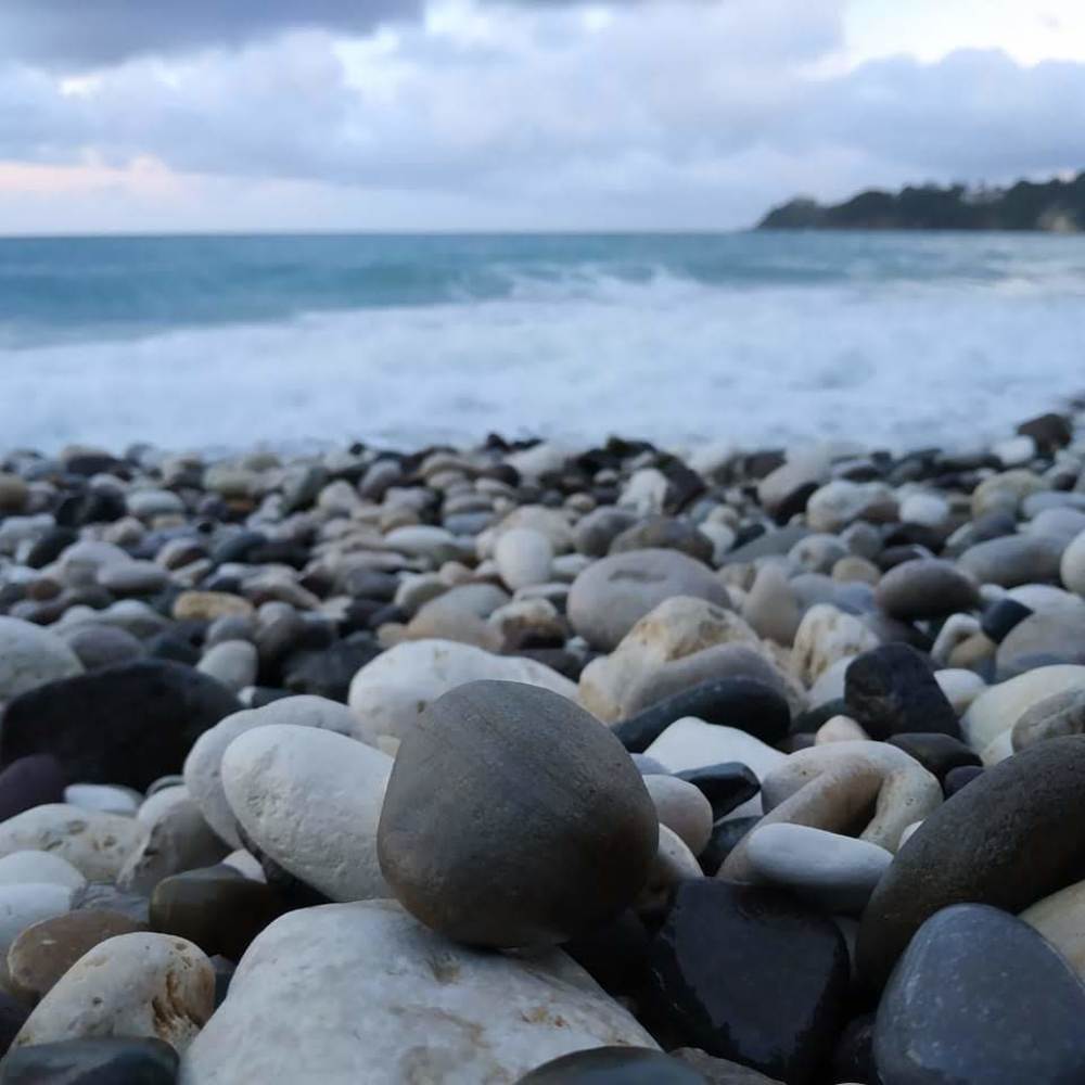 Photograph by Taylor-Ann Brown