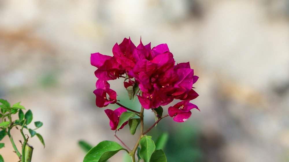 Photograph by kabirou mohamed