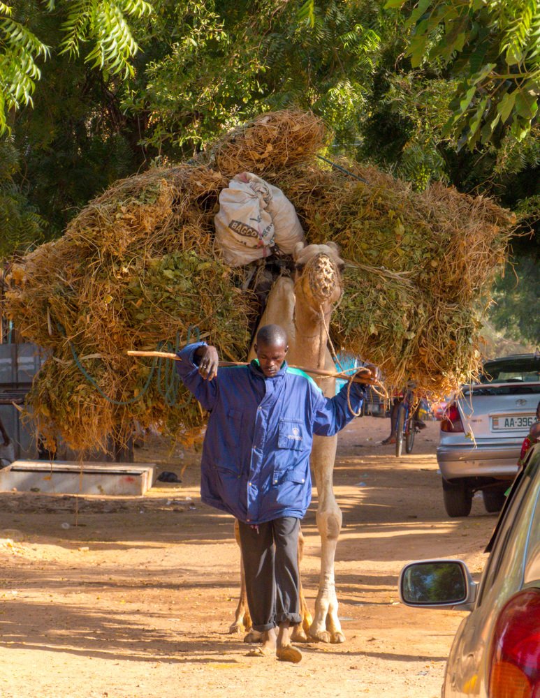 Photograph by kabirou mohamed