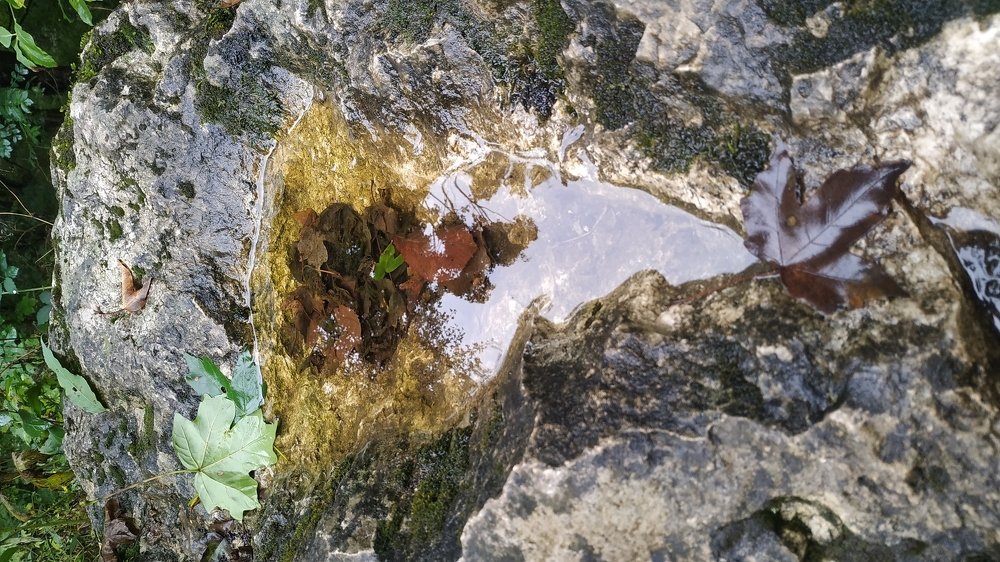 Photograph by Ali Aliyev