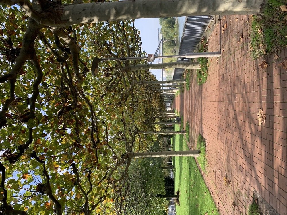 Photograph by Tonia Dragouni