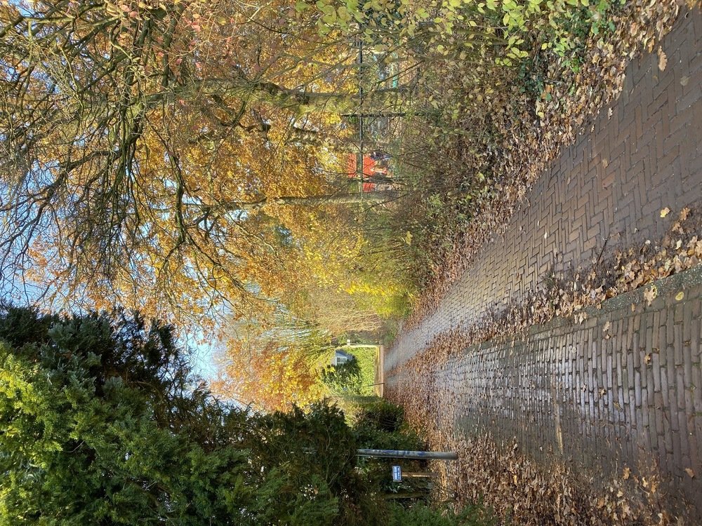 Photograph by Tonia Dragouni