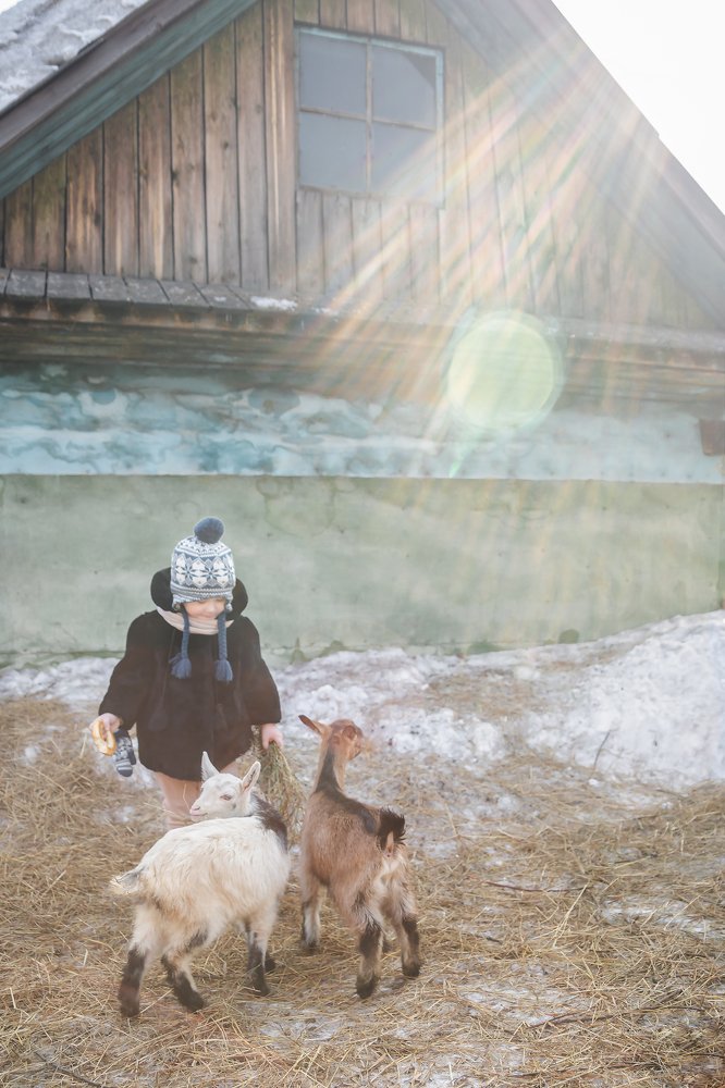 Photograph by Ольга Ткач