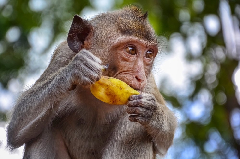 Photograph by Екатерина Овчаренко