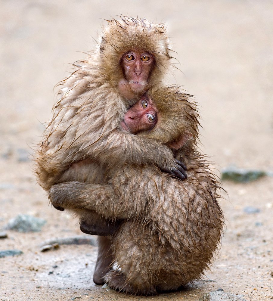 Photograph by Кирина Елизавета