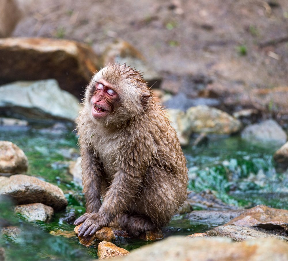 Photograph by Кирина Елизавета