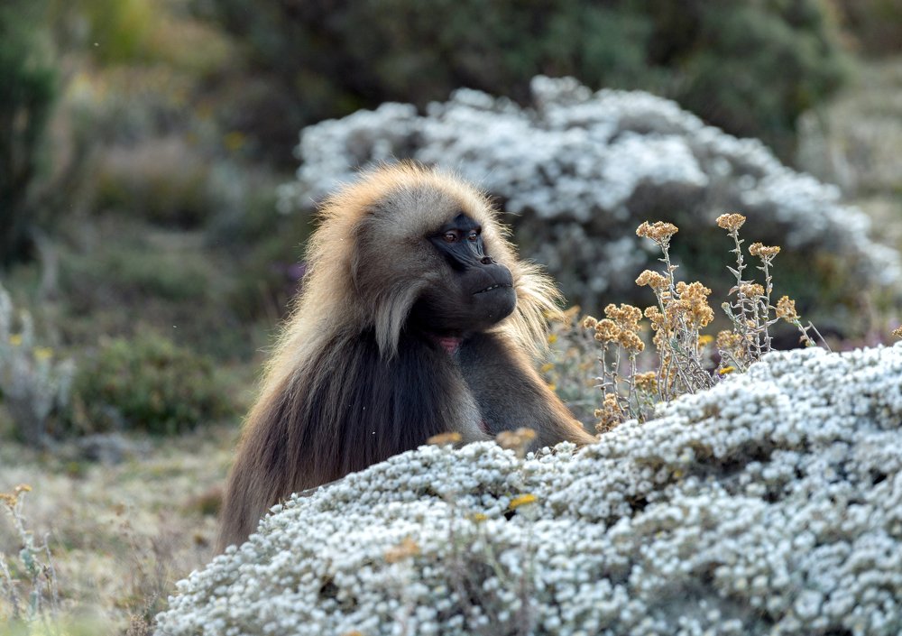 Photograph by Кирина Елизавета