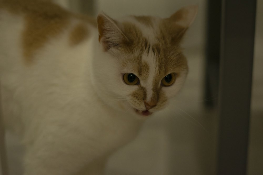 Photograph by Михаил Косарев