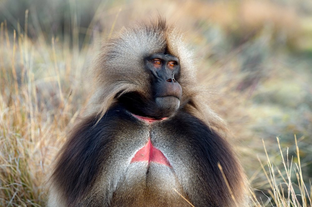 Photograph by Кирина Елизавета