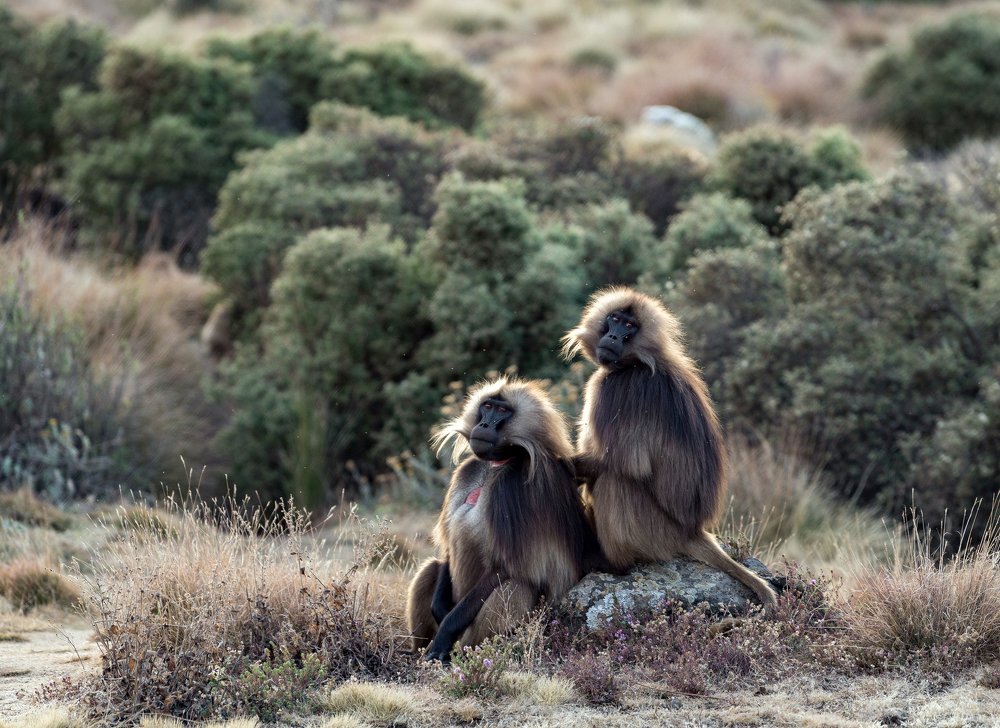 Photograph by Кирина Елизавета