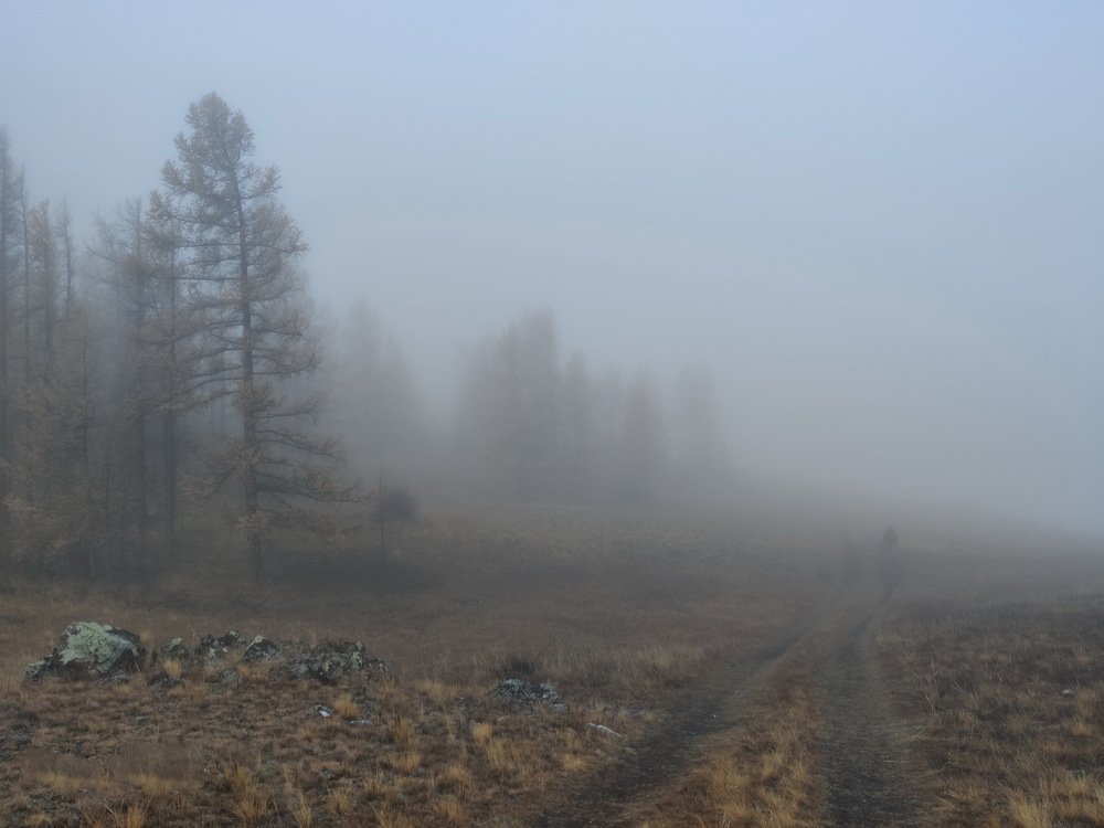 Photograph by Ирина Иванова