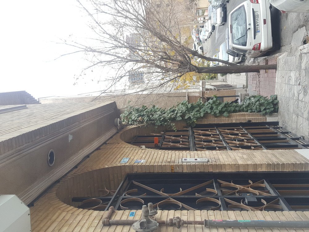 Photo #4041301