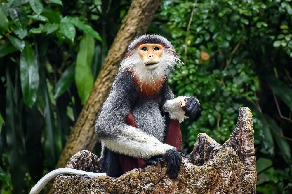 Photograph by Nicholas Ng