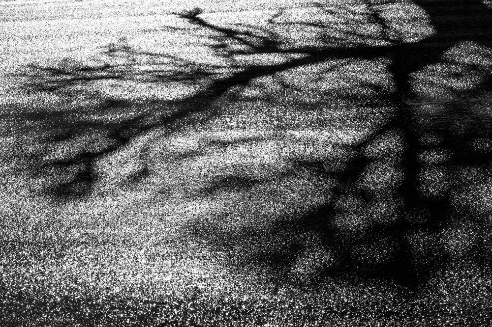 Photograph by Дмитрий Тимофеев