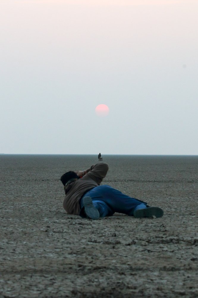 The wildlife photographer