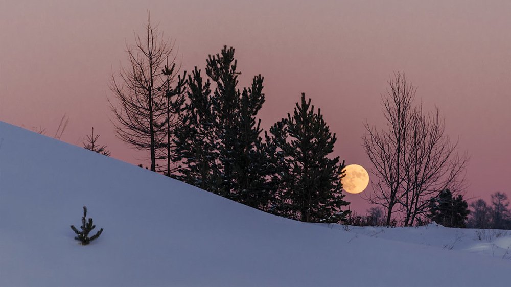 Photograph by Sergey L