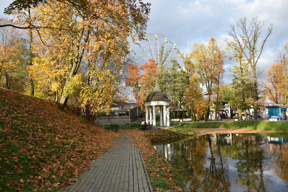 Photograph by Людмила Комарова