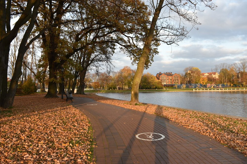 Photograph by Людмила Комарова