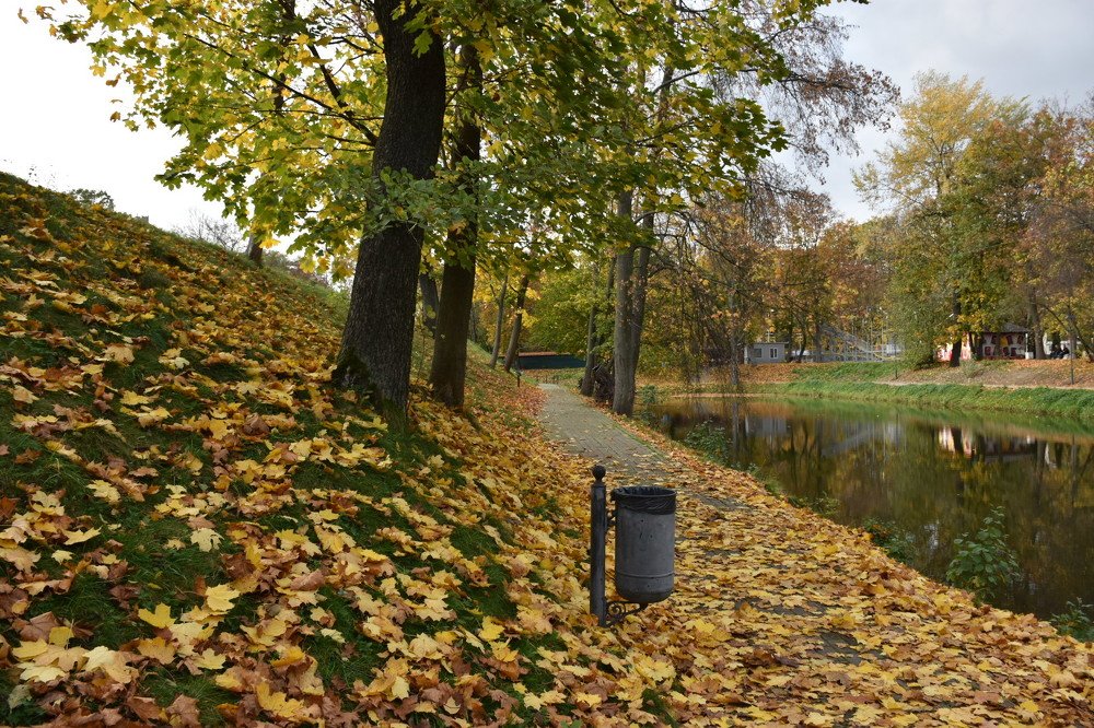 Photograph by Людмила Комарова