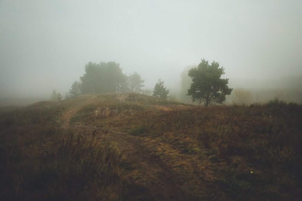 Фотография автора Екатерина Корчилова