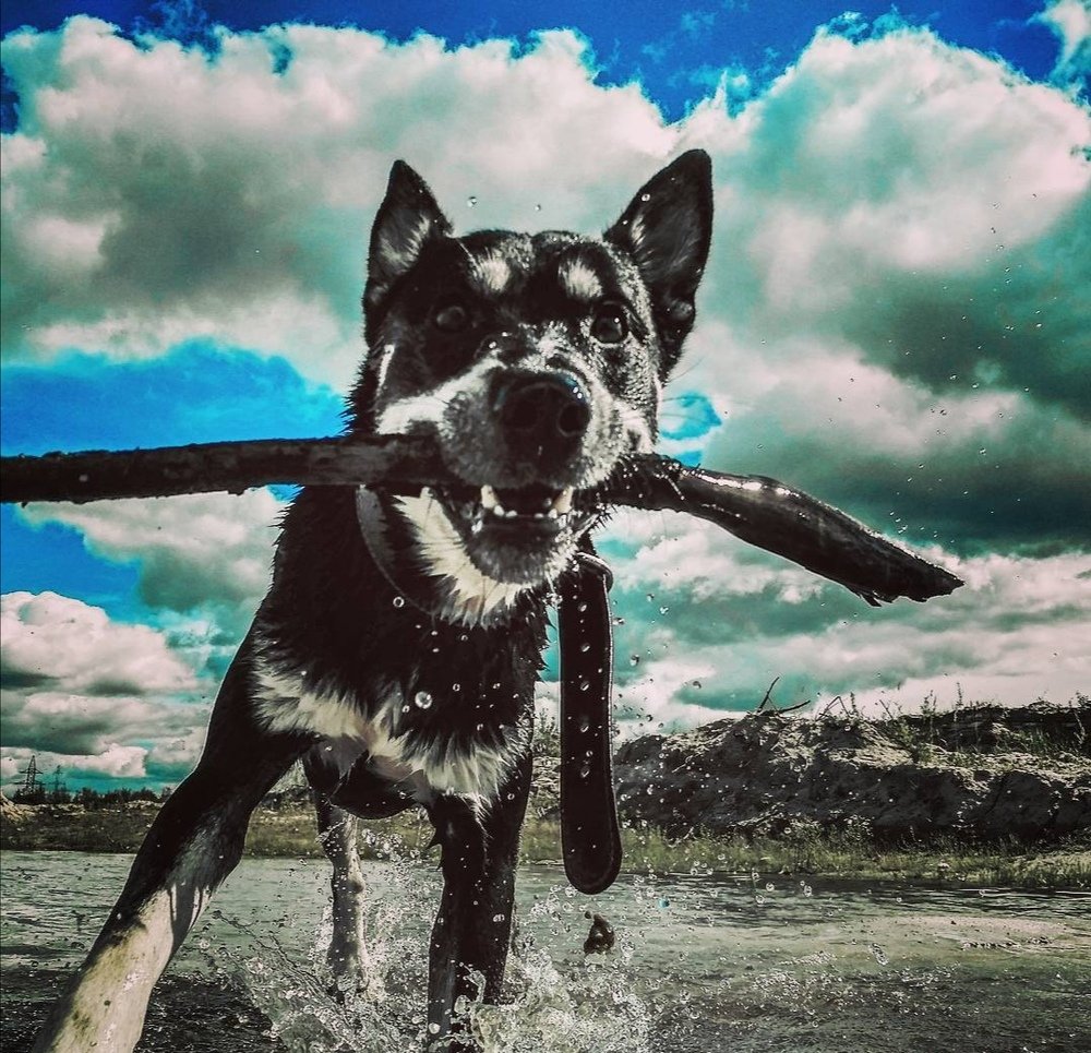 Photograph by Владимир Новожилов