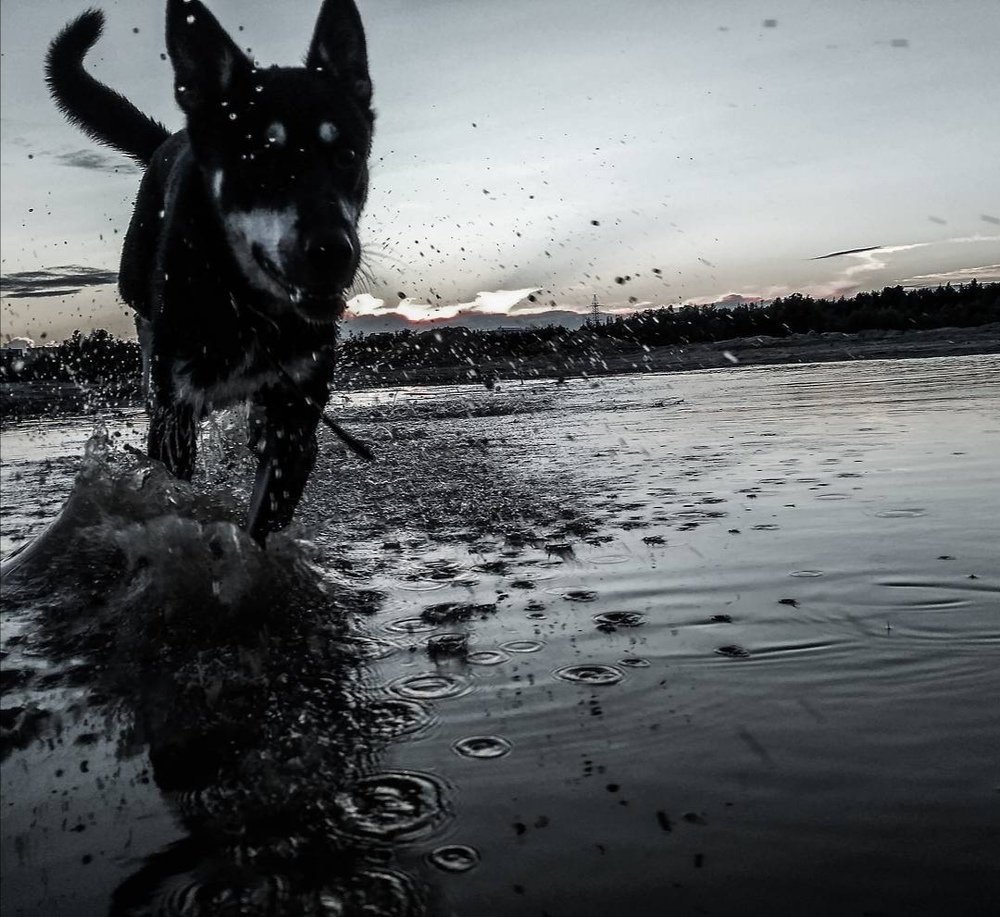 Photograph by Владимир Новожилов