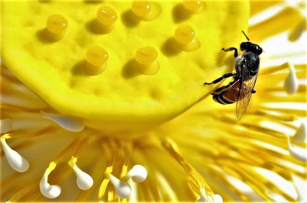 Photograph by Nadeem Muhammad