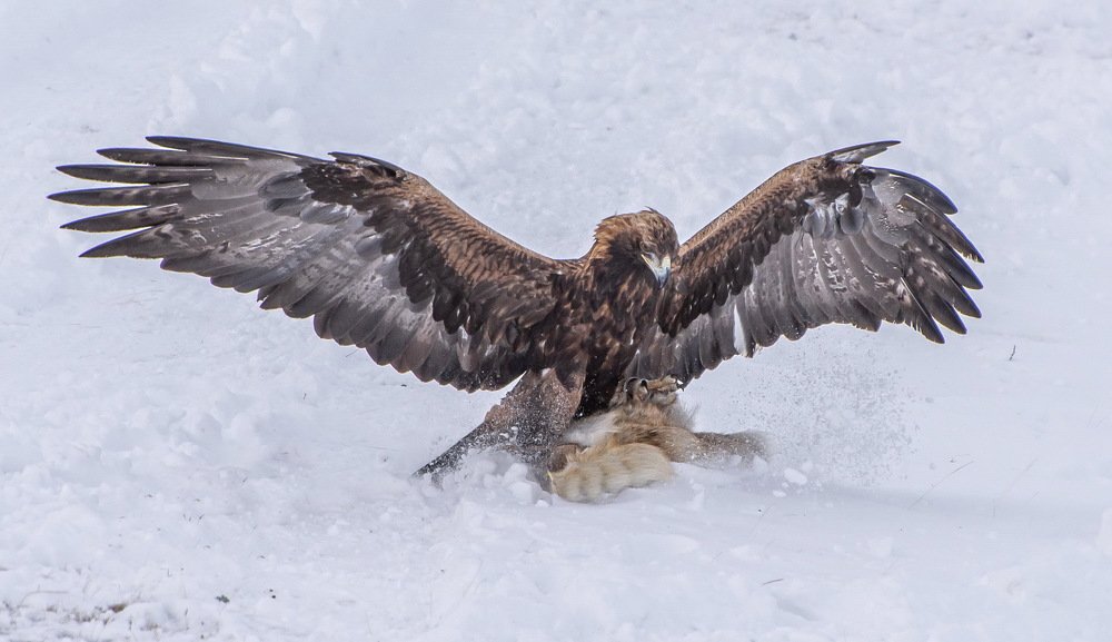 Photograph by Евгений Дроботенко