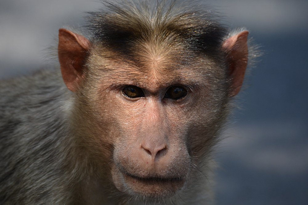 Photograph by MEHDI BAZZAZ