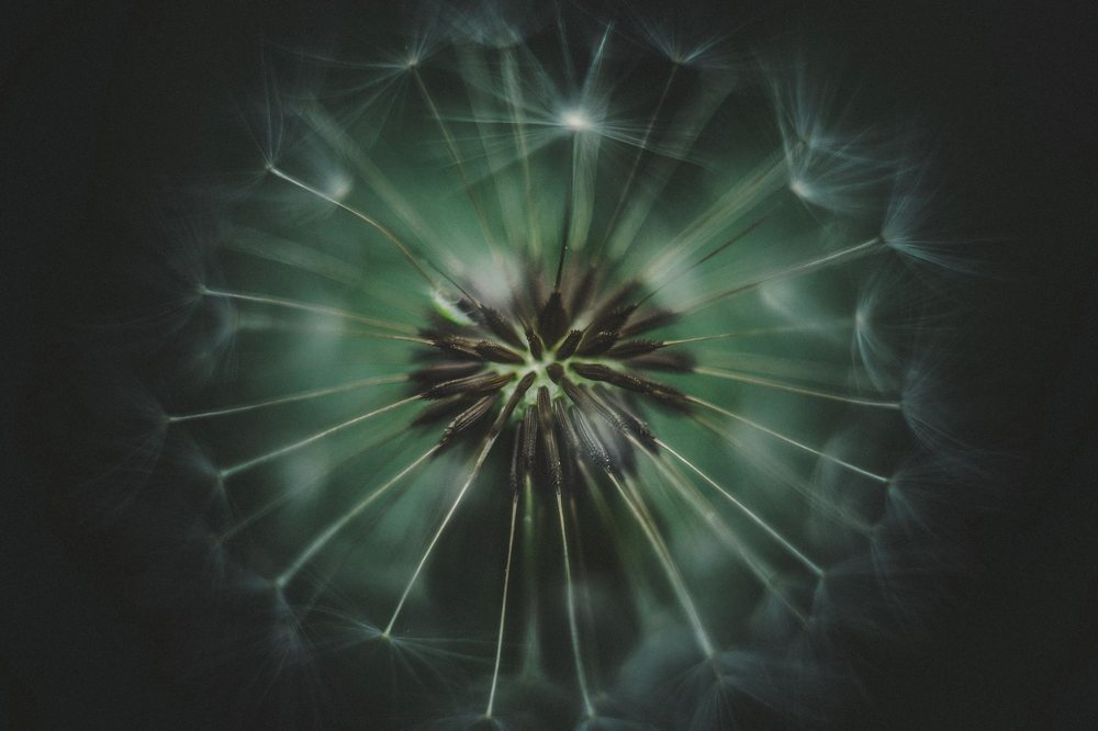 Photograph by Milan Bachan