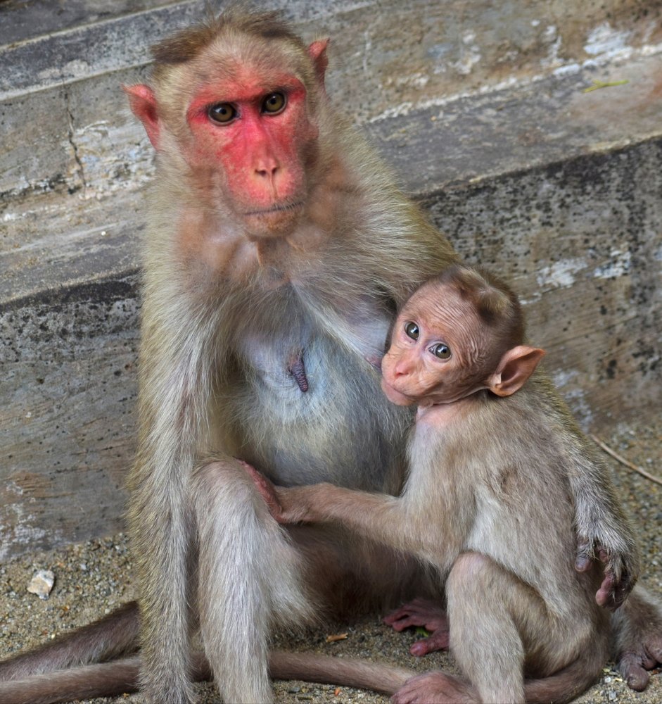 Photograph by Prabanjan Prabanjan karuppusamy