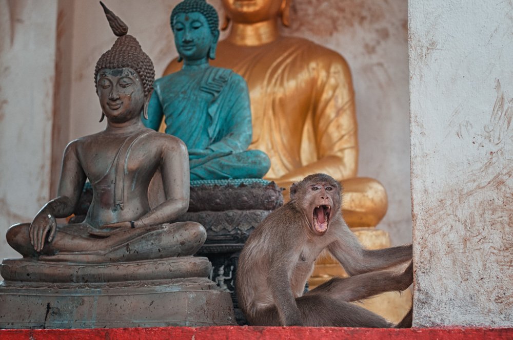 Photograph by Александр Шмелев