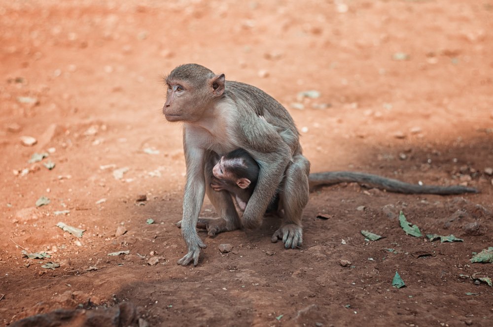 Photograph by Александр Шмелев