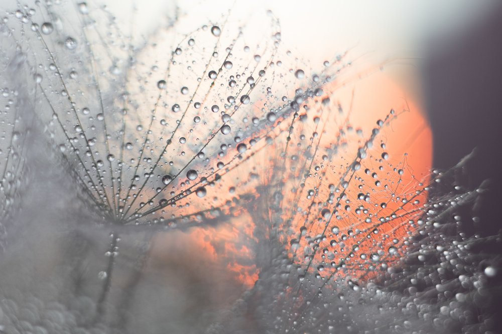 Фотография автора Мария Александрова