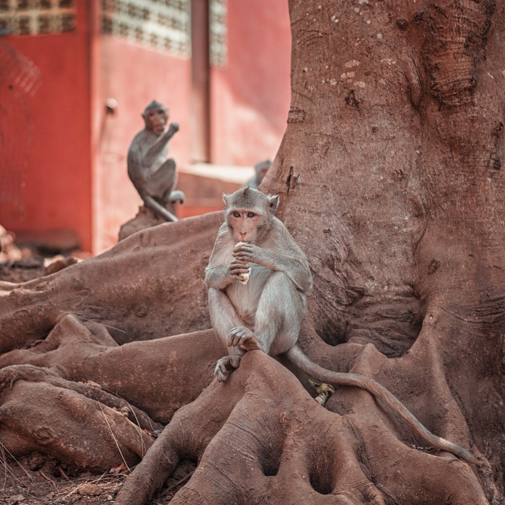 Photograph by Александр Шмелев