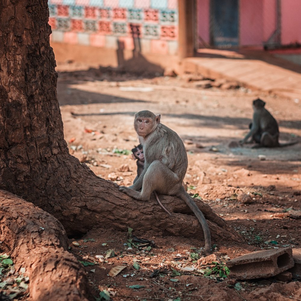 Photograph by Александр Шмелев