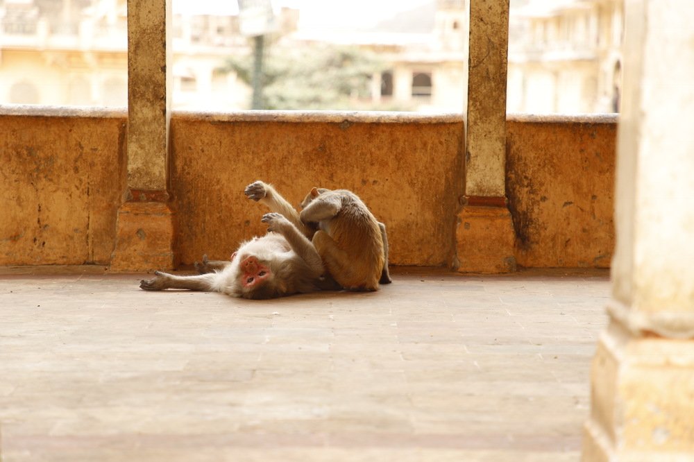 Photograph by Shourya Dadhich