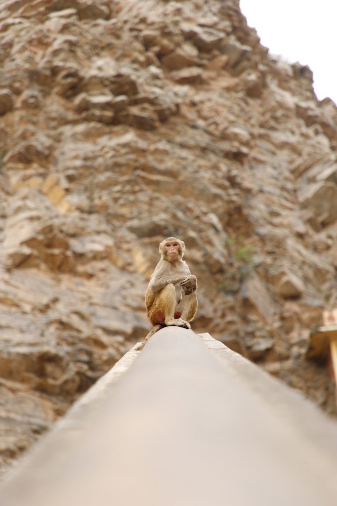 Photograph by Shourya Dadhich