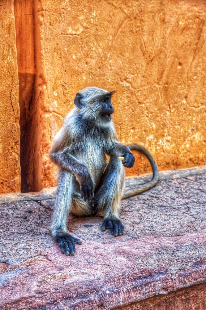 Photograph by Shourya Dadhich